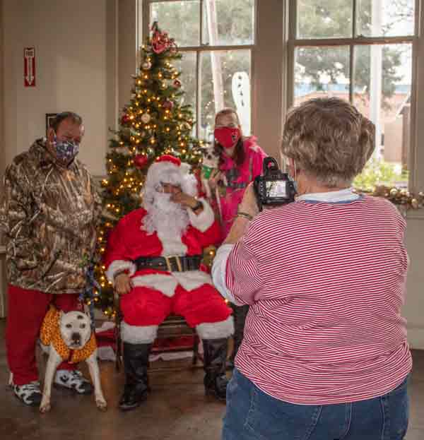 dog pictures with santa