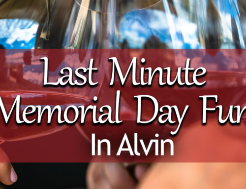 Last Minute Memorial Day Fun in Alvin